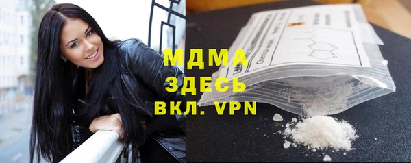 хмурый Аркадак