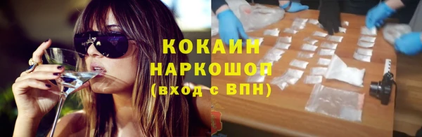 хмурый Аркадак