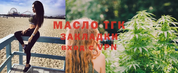 хмурый Аркадак