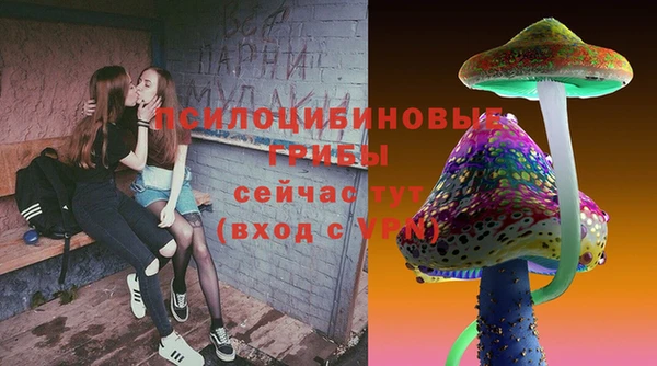 хмурый Аркадак