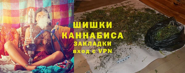 хмурый Аркадак