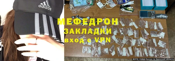 хмурый Аркадак