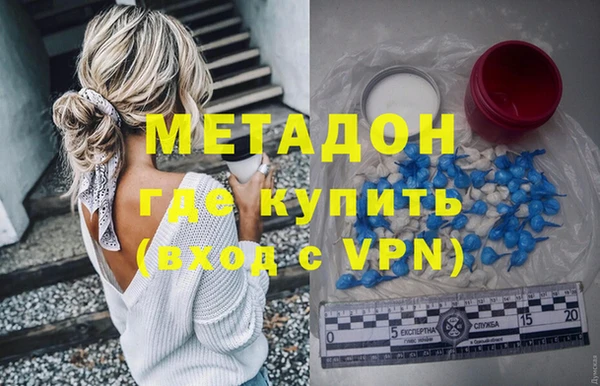 хмурый Аркадак