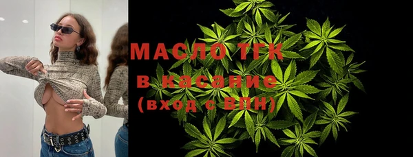 хмурый Аркадак