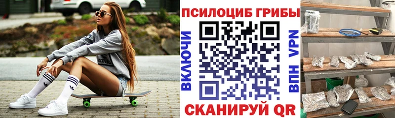 наркотики  гидра tor  дарк нет наркотические препараты  Заполярный  Галлюциногенные грибы Psilocybe 